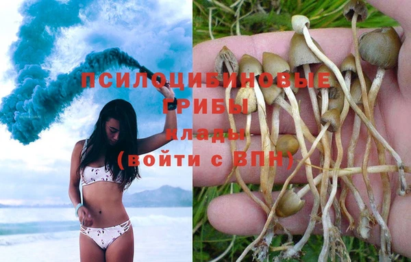 мет Балахна
