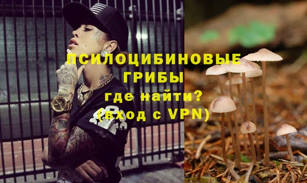 ALPHA PVP Армянск