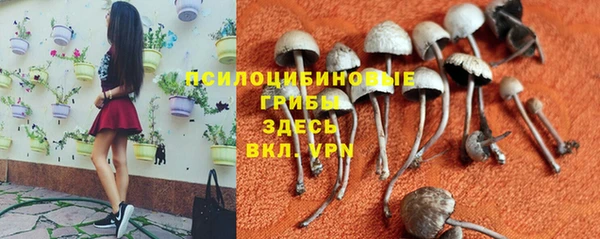 мет Балахна