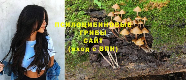 соль ск Арсеньев